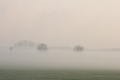 060407 007a.jpg